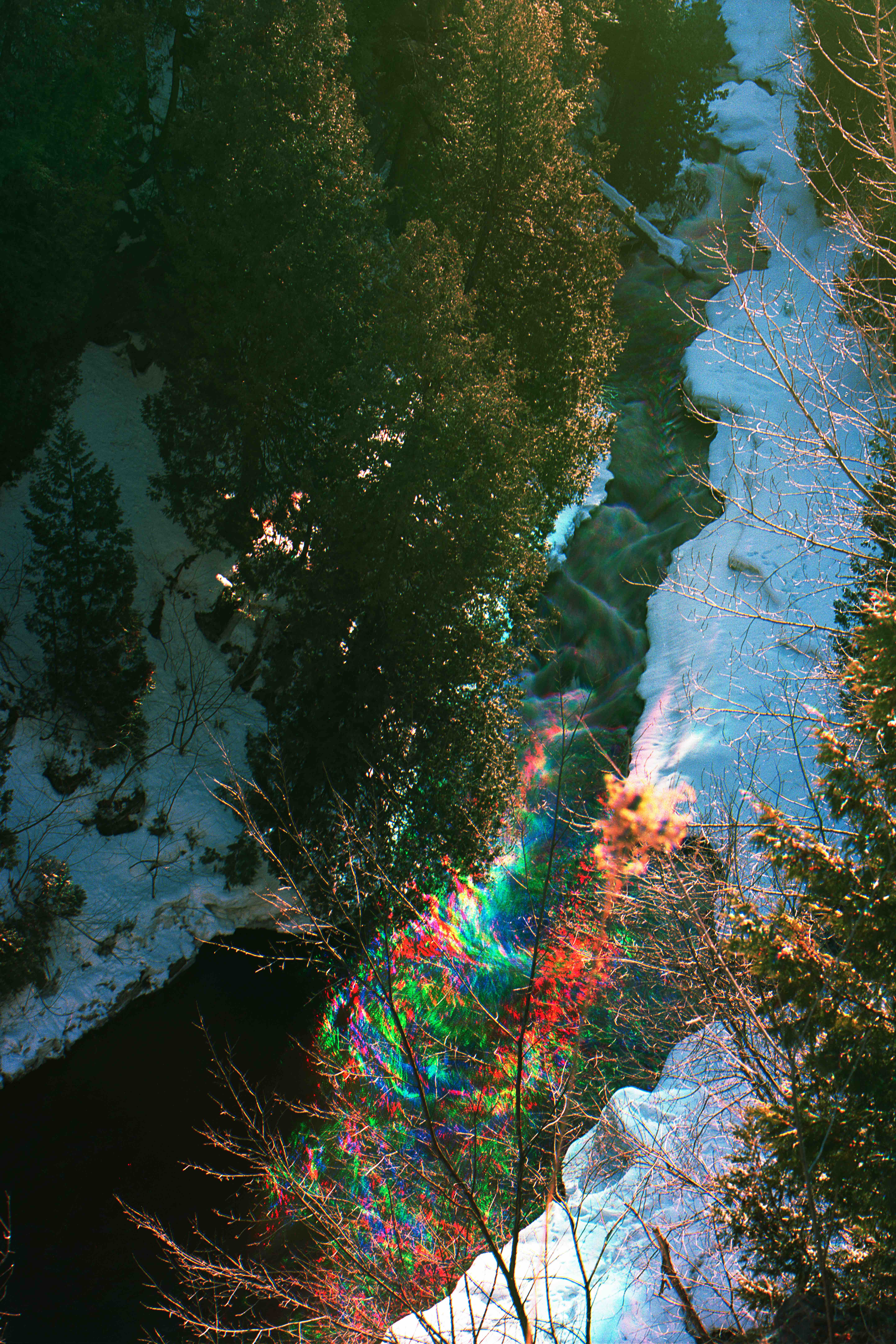 Image of: Altered Landscapes Art Installation by Aaron Leon