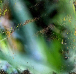 Image of: The Surface of an Image Art Installation by Meganelizabeth Diamond