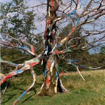 Image of: Slightly Altered Art Installation by Synchrodogs 